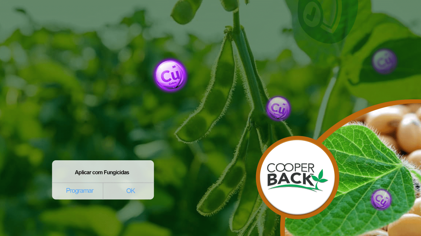 bb6f5aa7311a3cf4414d2880a14c1a8fc58de67e