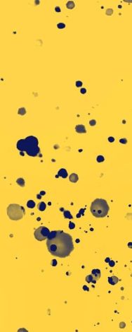 7fef02f7c4b89ca4aedc0b7308da5d956ef96bda